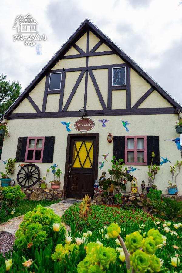 Fernabella'S Lodge 장크트 고아르스하우젠 외부 사진